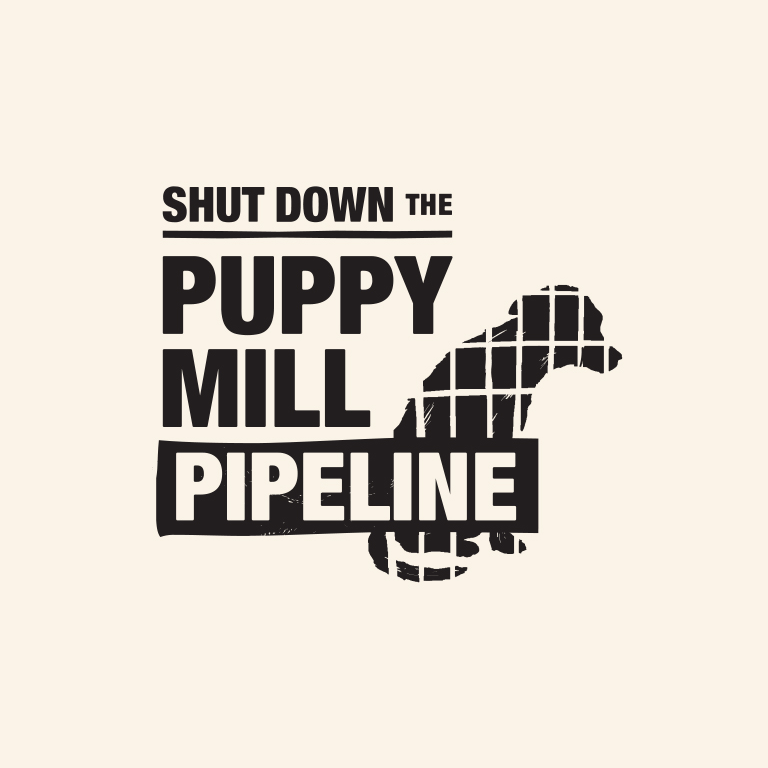 Puppy Mill Pipeline